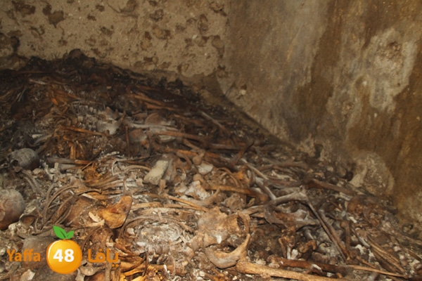 mdafenkazakhana512 (4).jpg